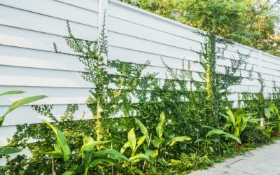 What Are the Top Benefits of Choosing a Vinyl Fence?